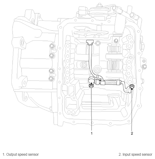 G13388286