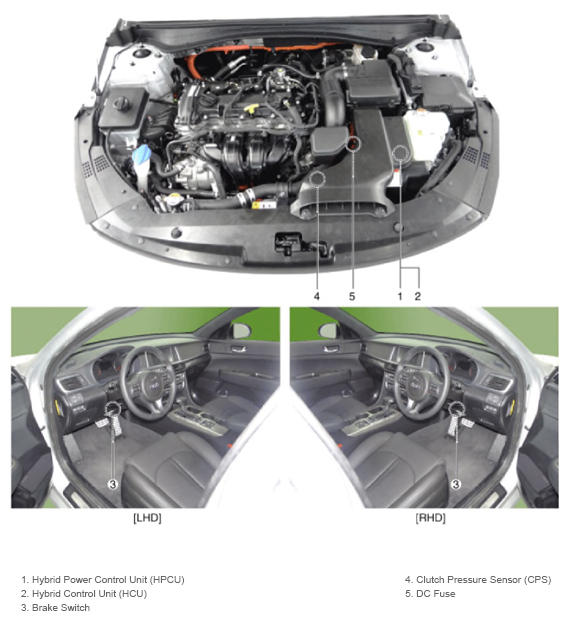 G13391268