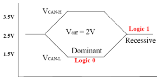 G13394356