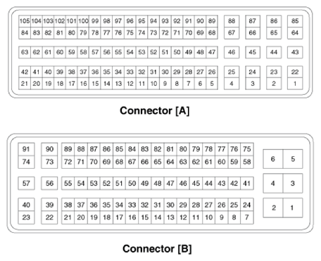 G13423441