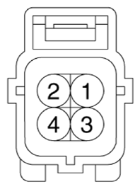 G13423484