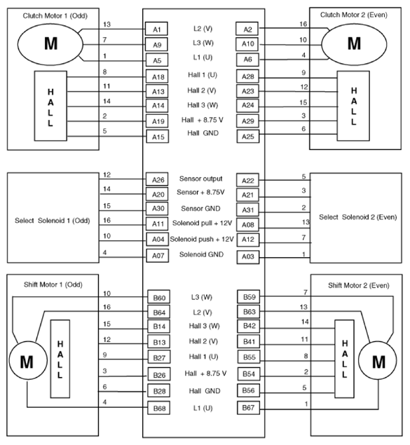 G13436908