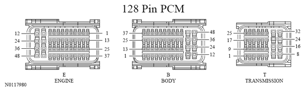 G13533366