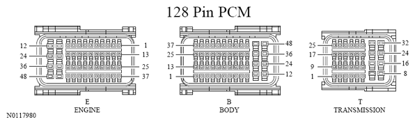 G13533411