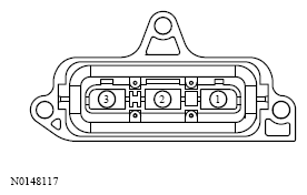 G13533538