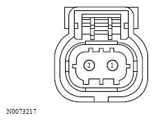 G13533619