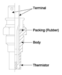 G13539397
