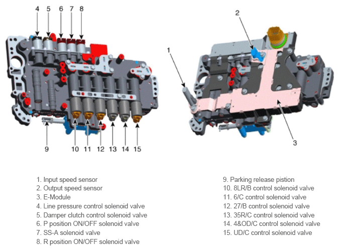 G13539818