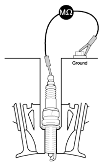 G13547336