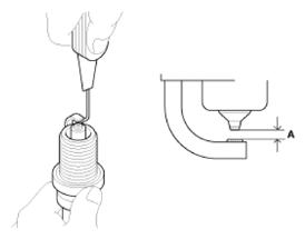 G13547337
