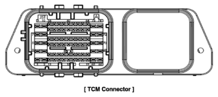 G13547812