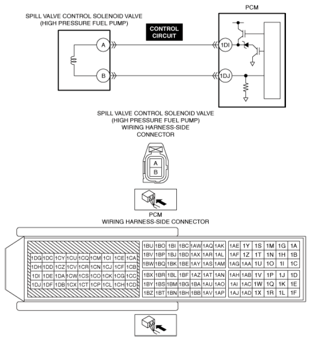 G13556314