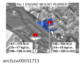 G13556776