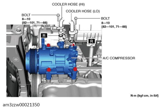 G13559120