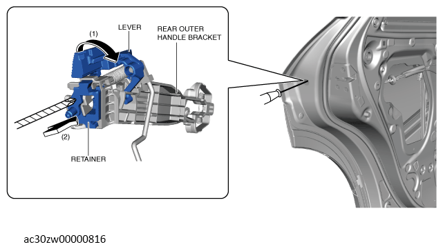 G13560435