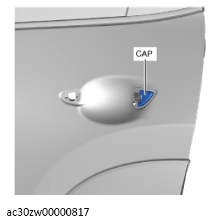 G13560436