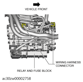 G13561156