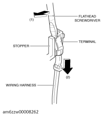 G13561157