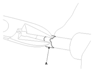G13563042