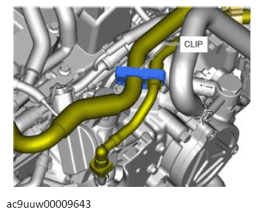 G13569869