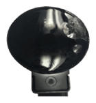 G13578836