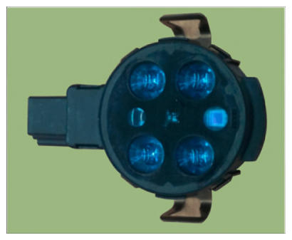 G13578840