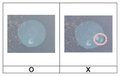 G13578842