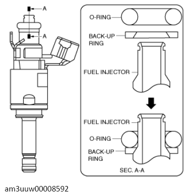 G13672529