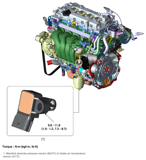G13704648