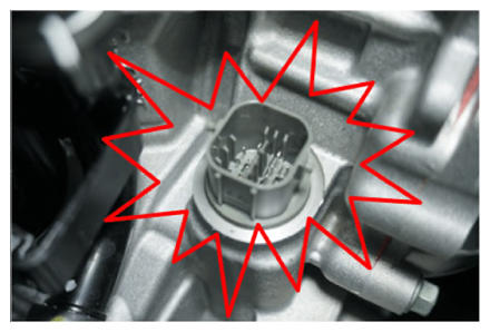 G13704855