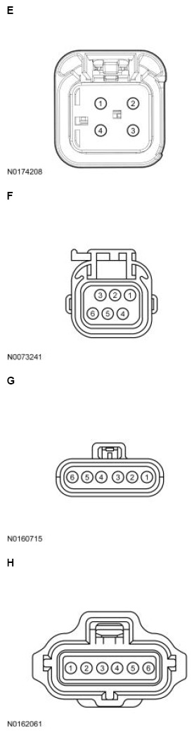 G13711367