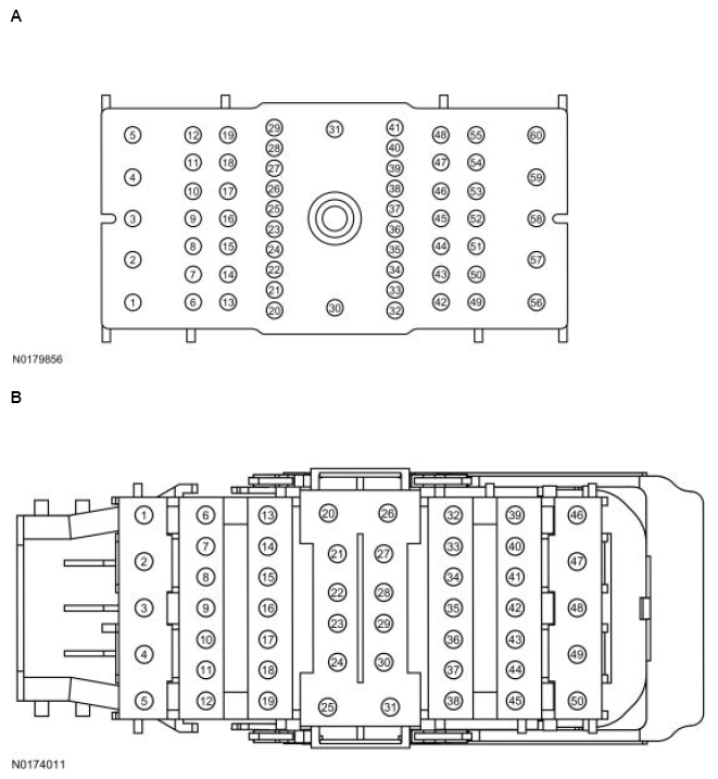 G13711653