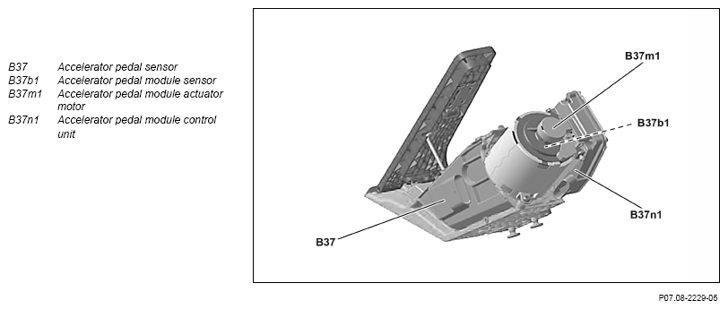 G13770139