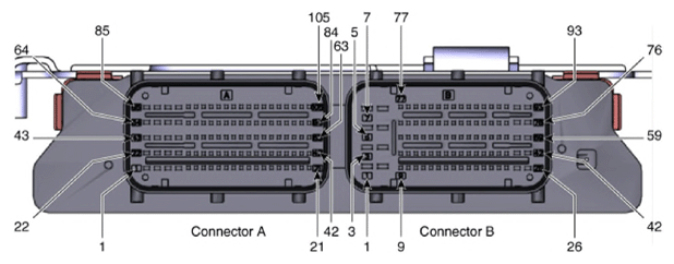 G13833897
