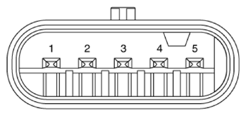 G13833933