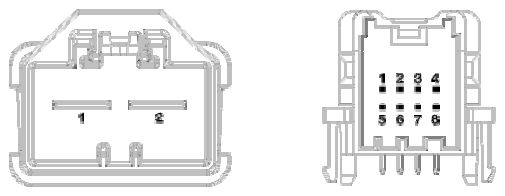 G13834976