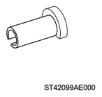 G13875289