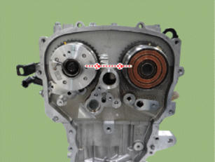G14175025