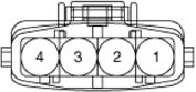G14175579