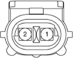 G14175604