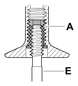 G14273988