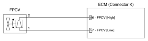 G14537901