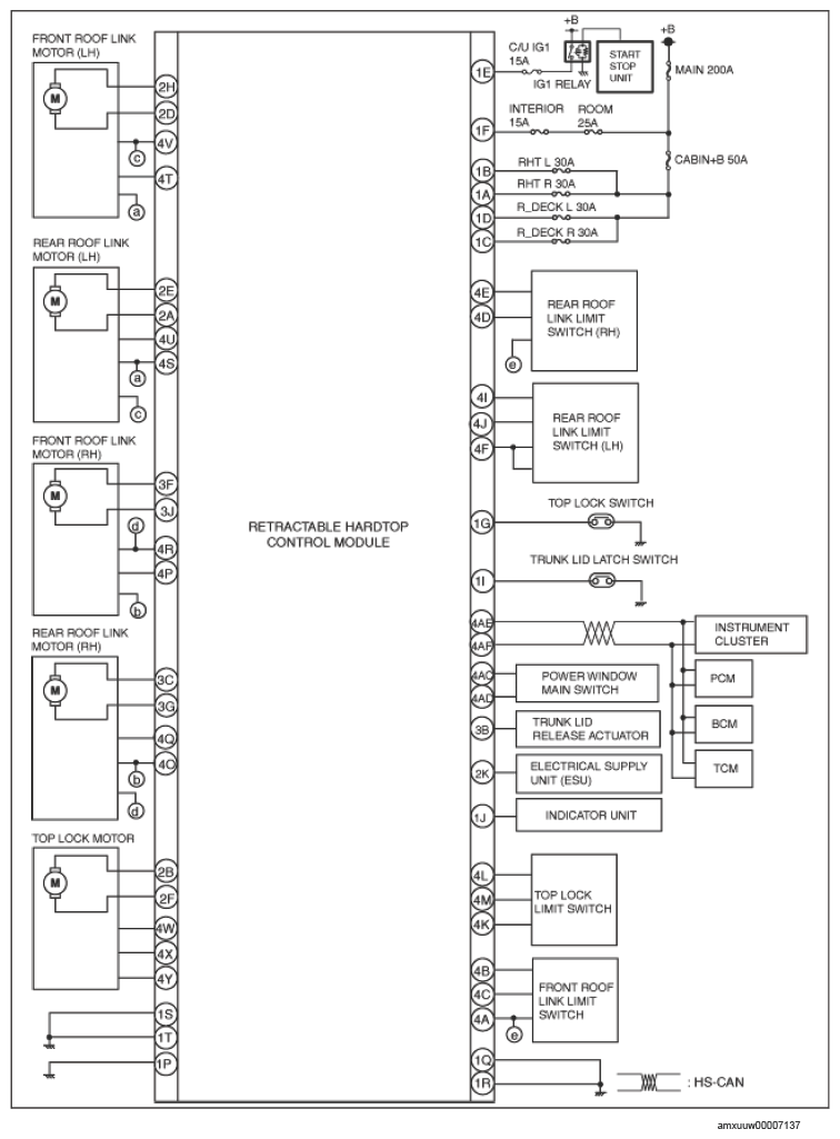 G14595131