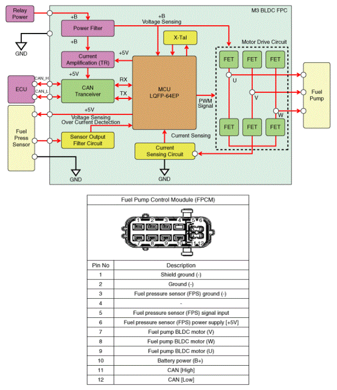 G14763982