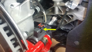 G15409530