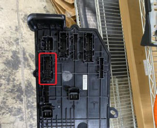 G15437486