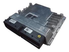 G15460636
