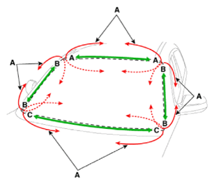 G15472916