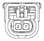 G15556985