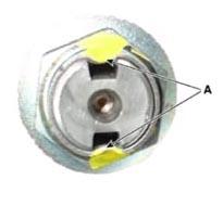 G15694891